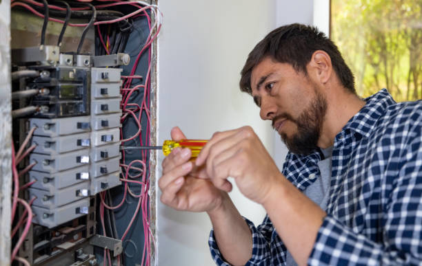 Best Affordable Electrician  in Chippewa Falls, WI